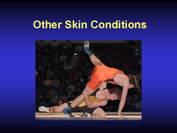 Other Skin Conditions 