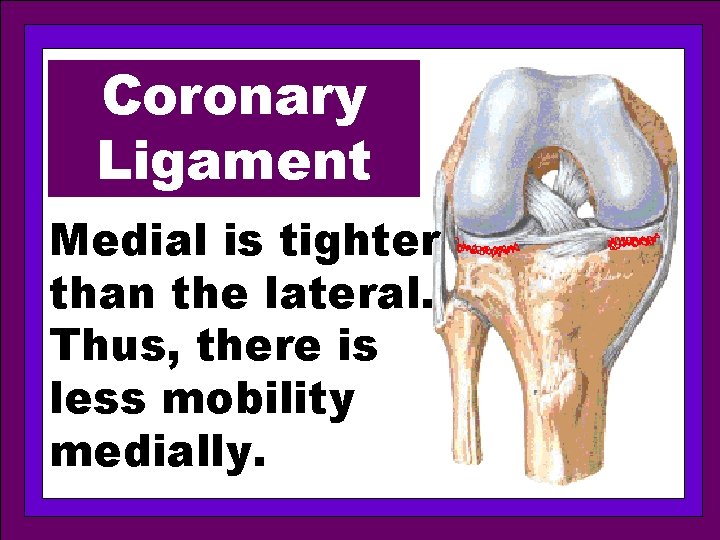 Coronary Ligament Medial is tighter than the lateral. Thus, there is less mobility medially.