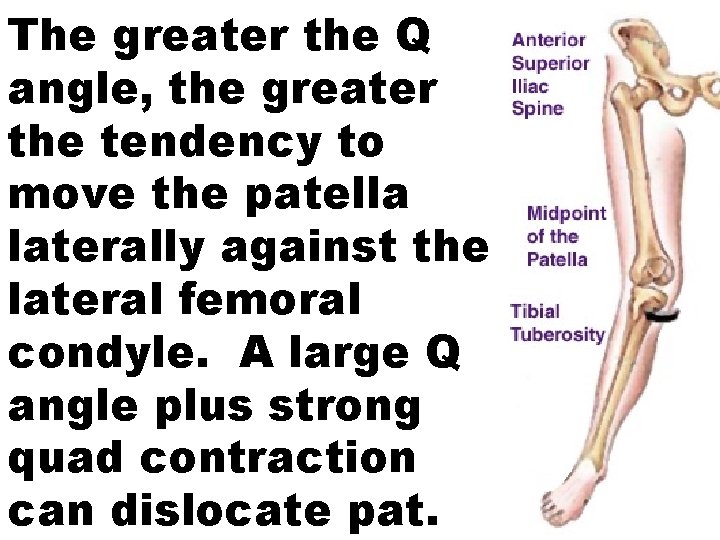 The greater the Q angle, the greater the tendency to move the patella laterally