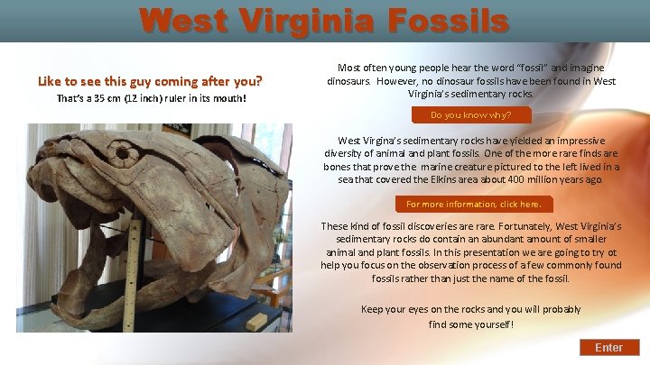 West Virginia Fossils Like to see this guy coming after you? That’s a 35