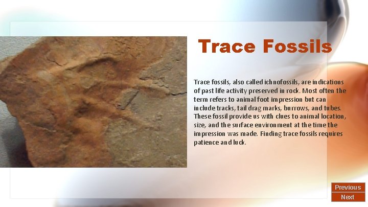 Trace Fossils Trace fossils, also called ichnofossils, are indications of past life activity preserved