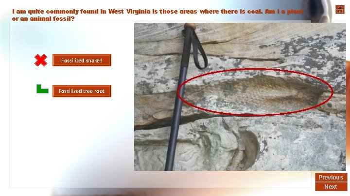 I am quite commonly found in West Virginia is those areas where there is