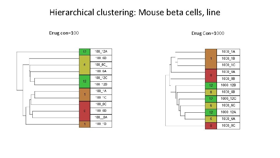 Hierarchical clustering: Mouse beta cells, line Drug con=100 Drug Con=1000 