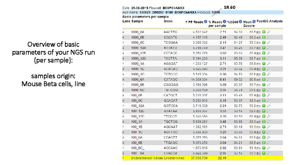 SR 60 Overview of basic parameters of your NGS run (per sample): samples origin: