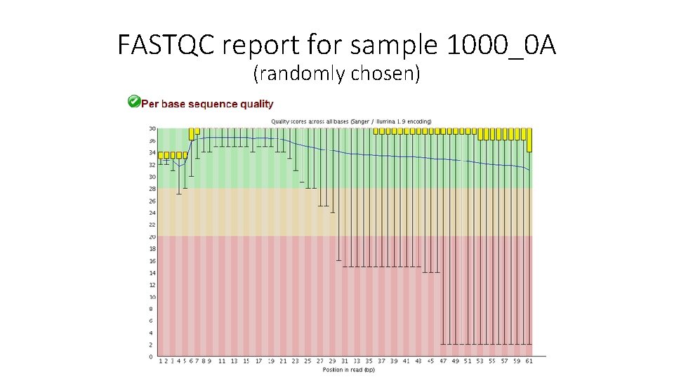 FASTQC report for sample 1000_0 A (randomly chosen) 