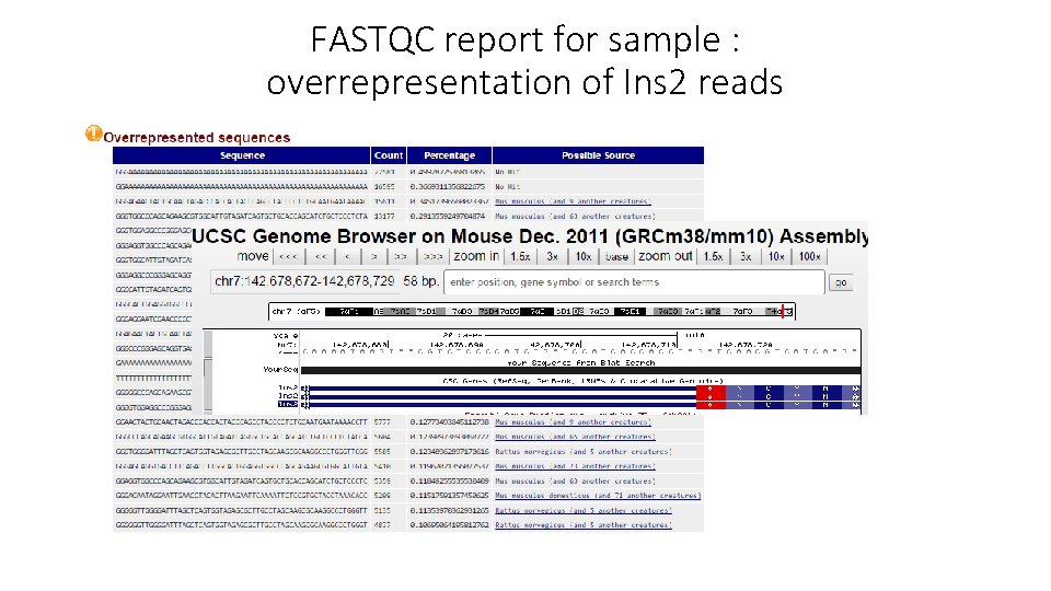 FASTQC report for sample : overrepresentation of Ins 2 reads 