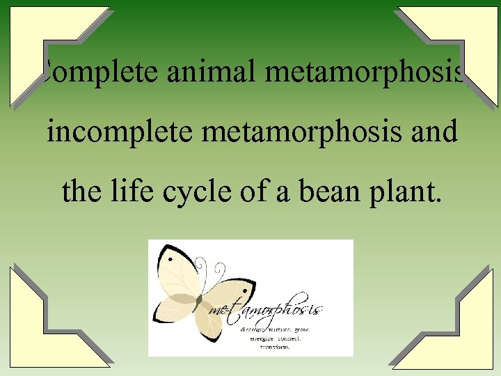 Complete animal metamorphosis, incomplete metamorphosis and the life cycle of a bean plant. 