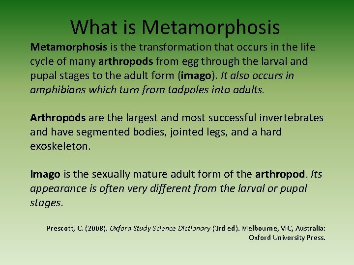 What is Metamorphosis is the transformation that occurs in the life cycle of many