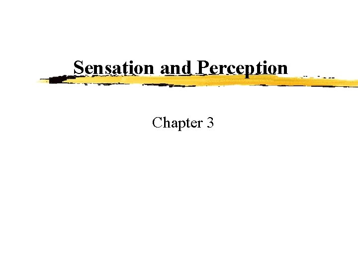 Sensation and Perception Chapter 3 