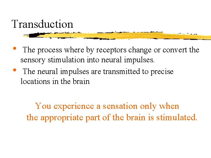 Transduction • • The process where by receptors change or convert the sensory stimulation