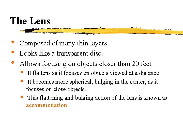 The Lens • • • Composed of many thin layers Looks like a transparent