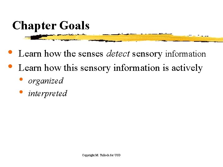 Chapter Goals • • Learn how the senses detect sensory information Learn how this