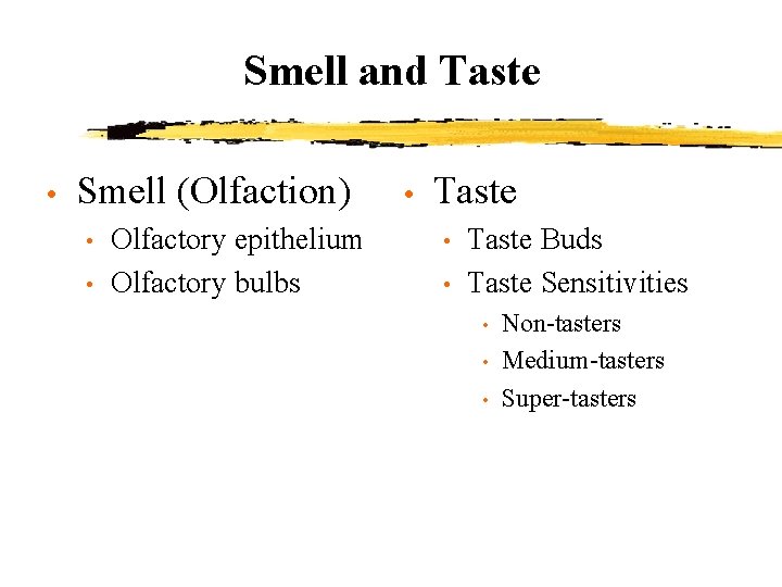 Smell and Taste • Smell (Olfaction) • • Olfactory epithelium Olfactory bulbs • Taste