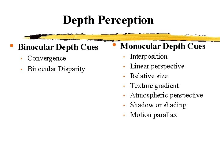 Depth Perception • Binocular Depth Cues • • Convergence Binocular Disparity • Monocular Depth