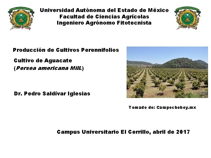 Universidad Autónoma del Estado de México Facultad de Ciencias Agrícolas Ingeniero Agrónomo Fitotecnista Producción