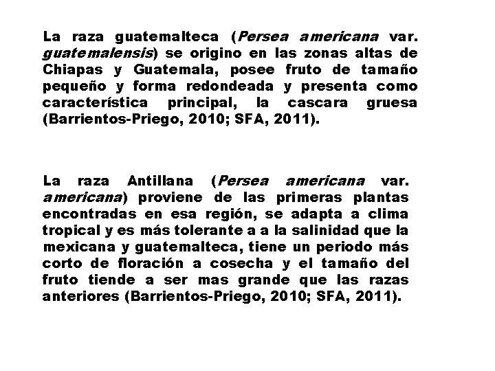 La raza guatemalteca (Persea americana var. guatemalensis) se origino en las zonas altas de