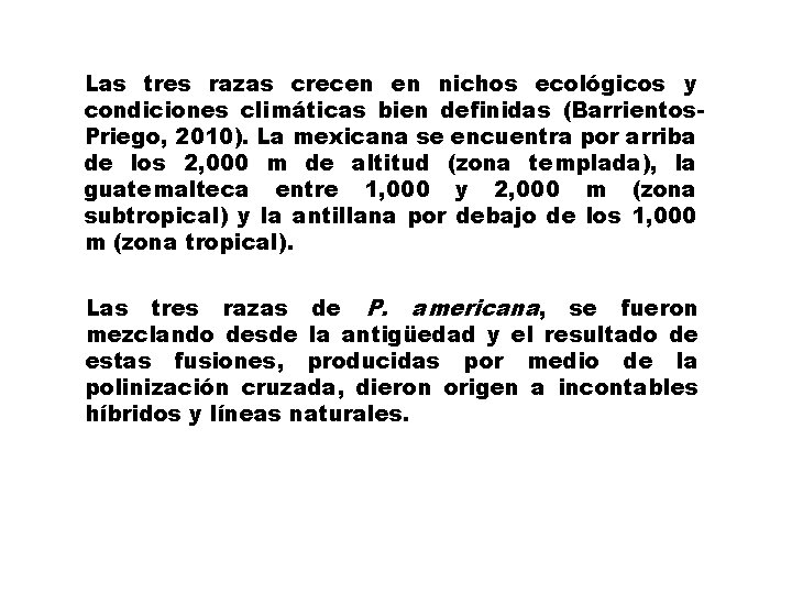 Las tres razas crecen en nichos ecológicos y condiciones climáticas bien definidas (Barrientos. Priego,