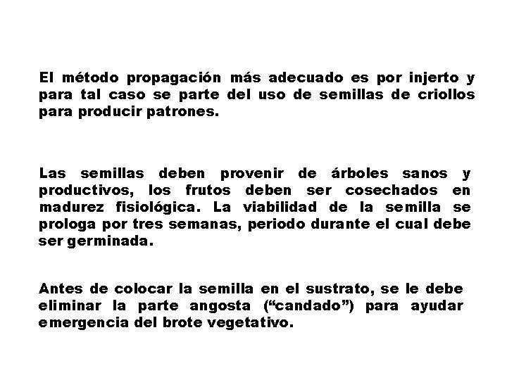 El método propagación más adecuado es por injerto y para tal caso se parte