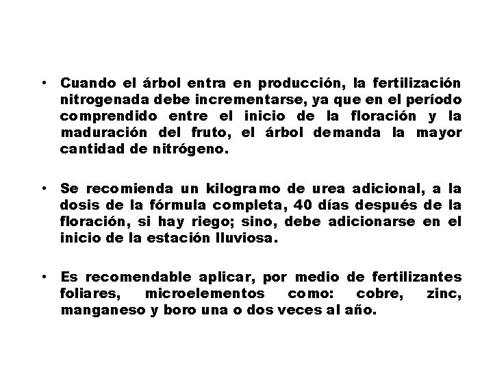  • Cuando el árbol entra en producción, la fertilización nitrogenada debe incrementarse, ya