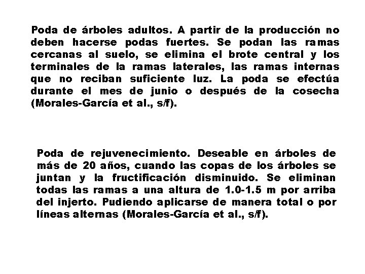 Poda de árboles adultos. A partir de la producción no deben hacerse podas fuertes.