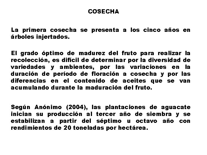 COSECHA La primera cosecha se presenta a los cinco años en árboles injertados. El