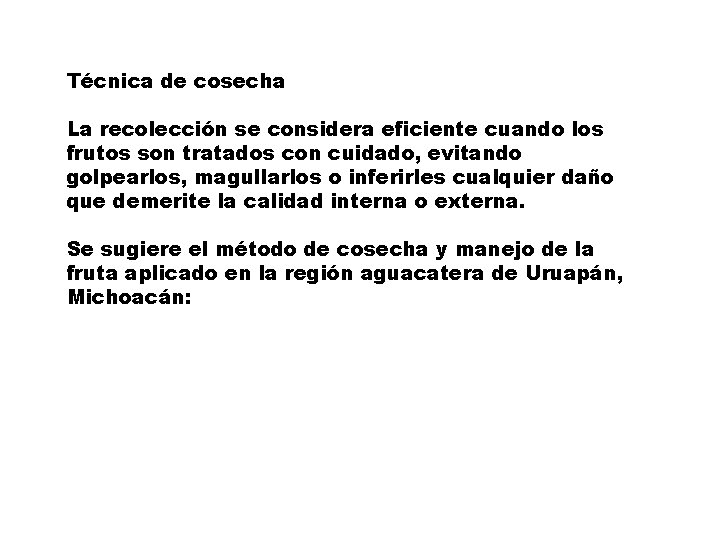 Técnica de cosecha La recolección se considera eficiente cuando los frutos son tratados con