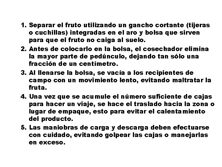 1. Separar el fruto utilizando un gancho cortante (tijeras o cuchillas) integradas en el