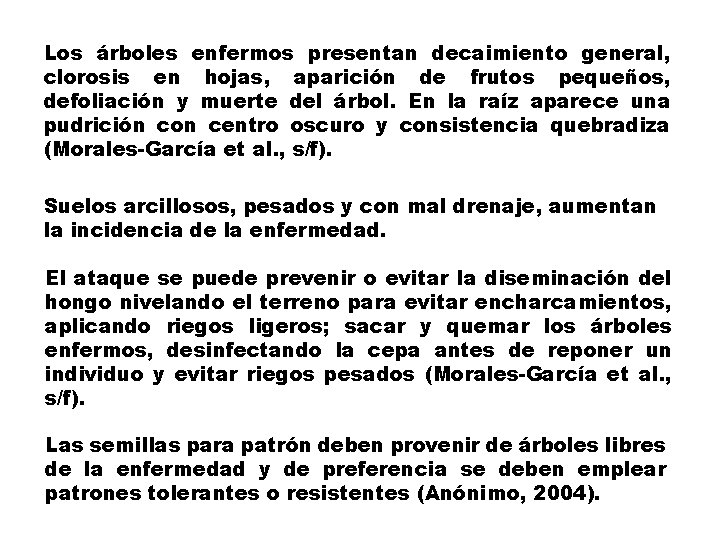 Los árboles enfermos presentan decaimiento general, clorosis en hojas, aparición de frutos pequeños, defoliación