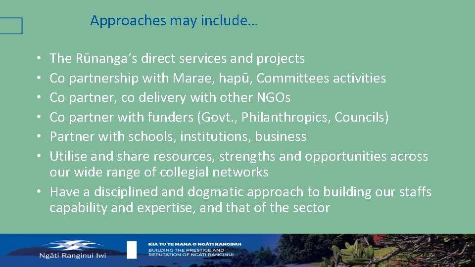 Approaches may include… The Rūnanga’s direct services and projects Co partnership with Marae, hapū,