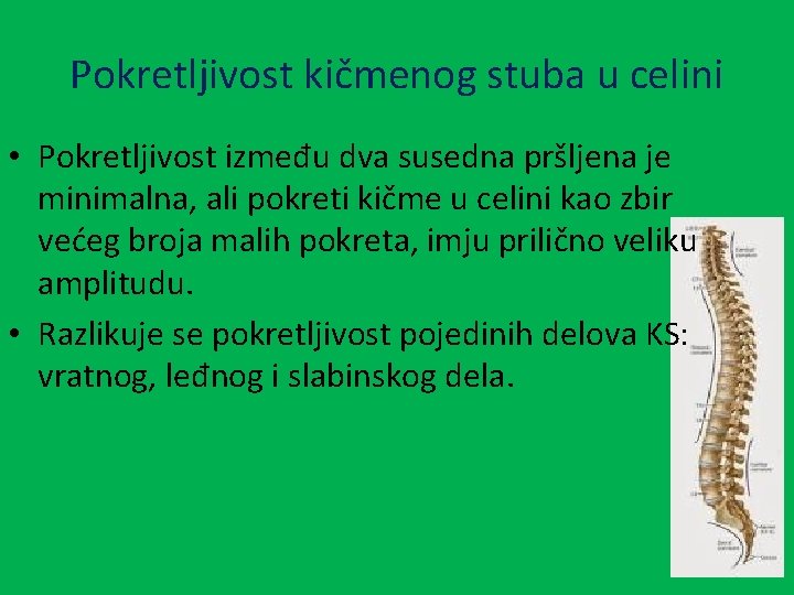 Pokretljivost kičmenog stuba u celini • Pokretljivost između dva susedna pršljena je minimalna, ali