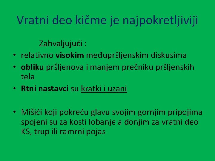 Vratni deo kičme je najpokretljiviji Zahvaljujući : • relativno visokim međupršljenskim diskusima • obliku