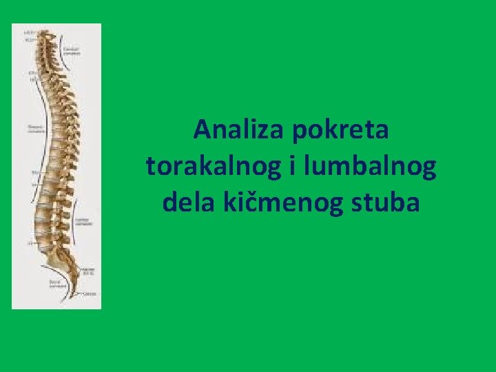 Analiza pokreta torakalnog i lumbalnog dela kičmenog stuba 