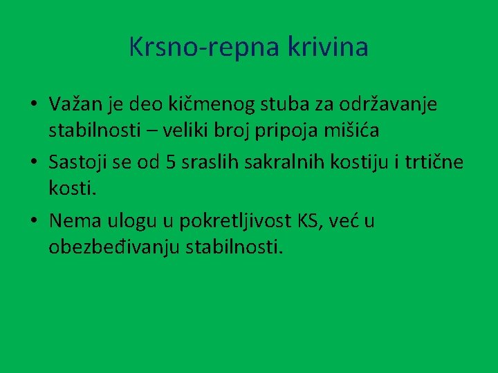 Krsno-repna krivina • Važan je deo kičmenog stuba za održavanje stabilnosti – veliki broj