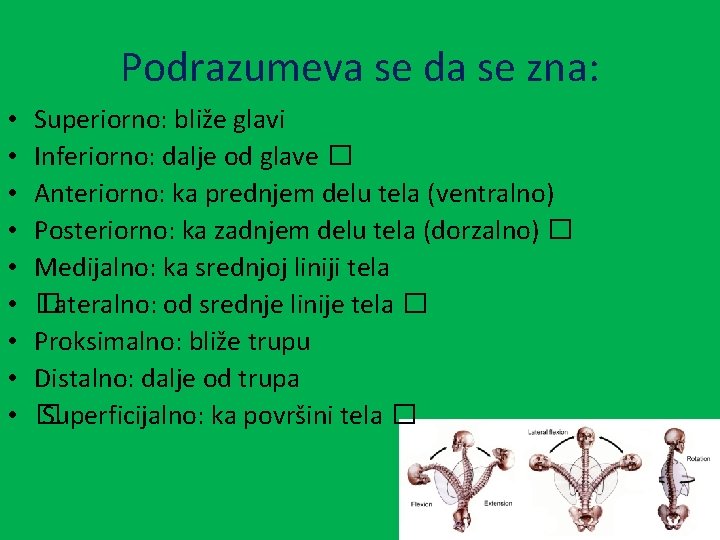 Podrazumeva se da se zna: • • • Superiorno: bliže glavi Inferiorno: dalje od