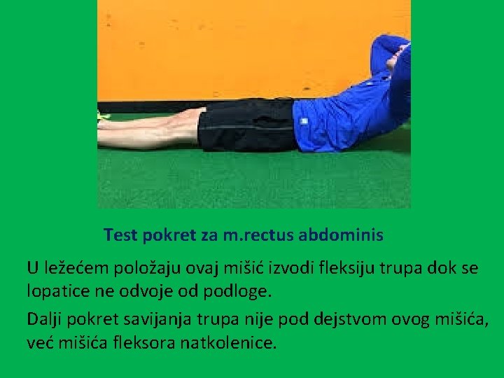 Test pokret za m. rectus abdominis U ležećem položaju ovaj mišić izvodi fleksiju trupa