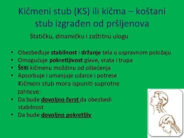 Kičmeni stub (KS) ili kičma – koštani stub izgrađen od pršljenova Statičku, dinamičku i