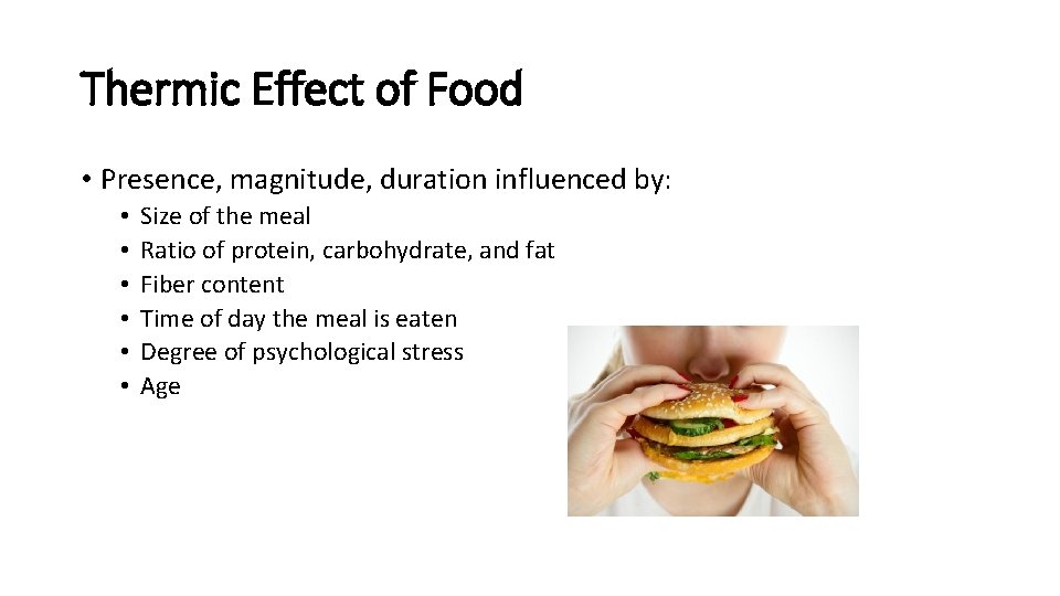 Thermic Effect of Food • Presence, magnitude, duration influenced by: • • • Size