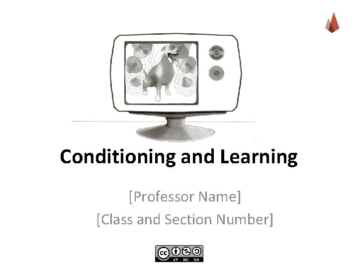 Conditioning and Learning [Professor Name] [Class and Section Number] 