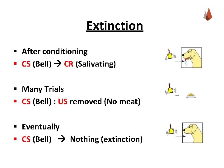 Extinction § After conditioning § CS (Bell) CR (Salivating) § Many Trials § CS