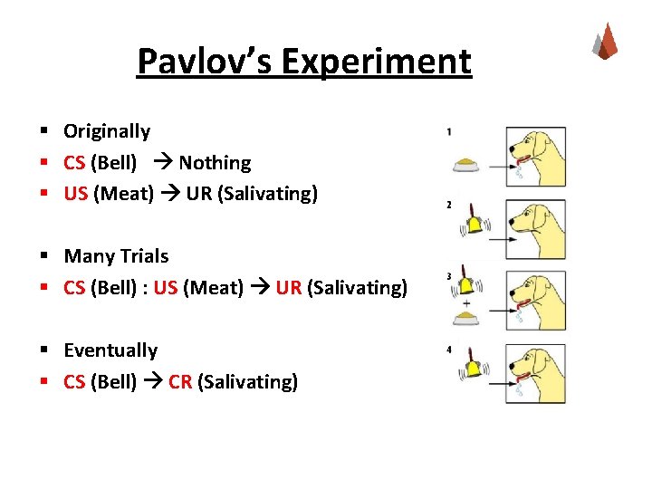 Pavlov’s Experiment § Originally § CS (Bell) Nothing § US (Meat) UR (Salivating) §
