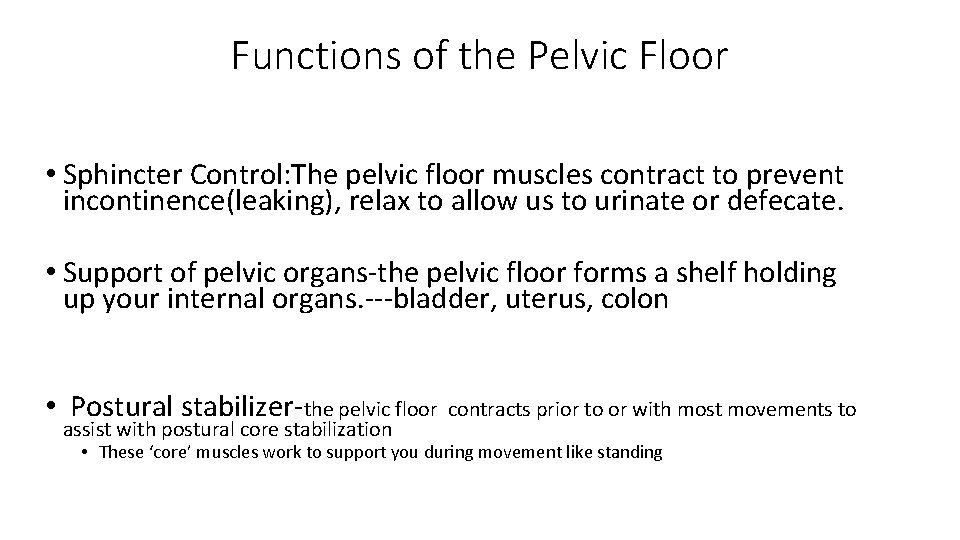 Functions of the Pelvic Floor • Sphincter Control: The pelvic floor muscles contract to