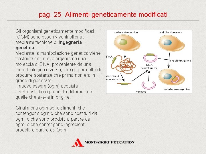 pag. 25 Alimenti geneticamente modificati Gli organismi geneticamente modificati (OGM) sono esseri viventi ottenuti pag. 25 Alimenti geneticamente modificati Gli organismi geneticamente modificati (OGM) sono esseri viventi ottenuti