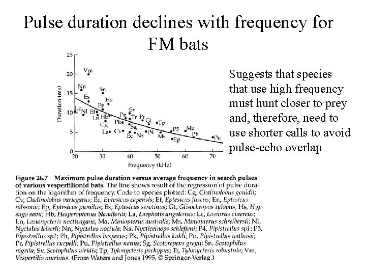 Pulse duration declines with frequency for FM bats Suggests that species that use high