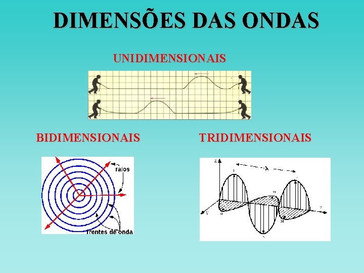 DIMENSÕES DAS ONDAS UNIDIMENSIONAIS BIDIMENSIONAIS TRIDIMENSIONAIS DIMENSÕES DAS ONDAS UNIDIMENSIONAIS BIDIMENSIONAIS TRIDIMENSIONAIS