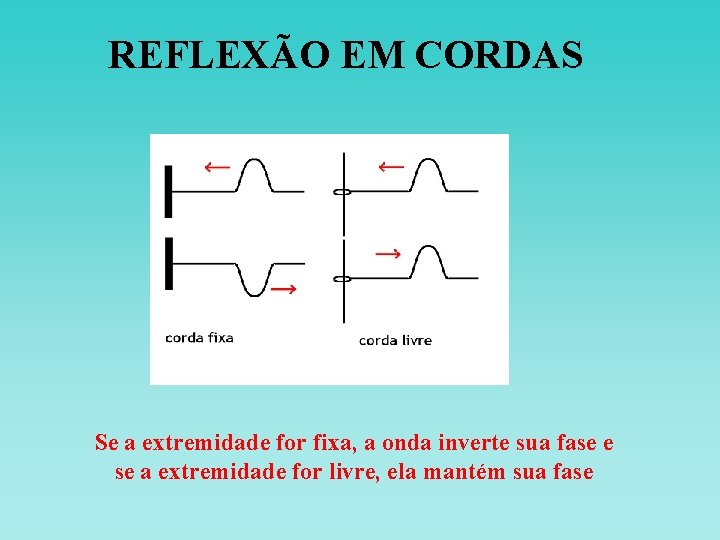 REFLEXÃO EM CORDAS Se a extremidade for fixa, a onda inverte sua fase e REFLEXÃO EM CORDAS Se a extremidade for fixa, a onda inverte sua fase e