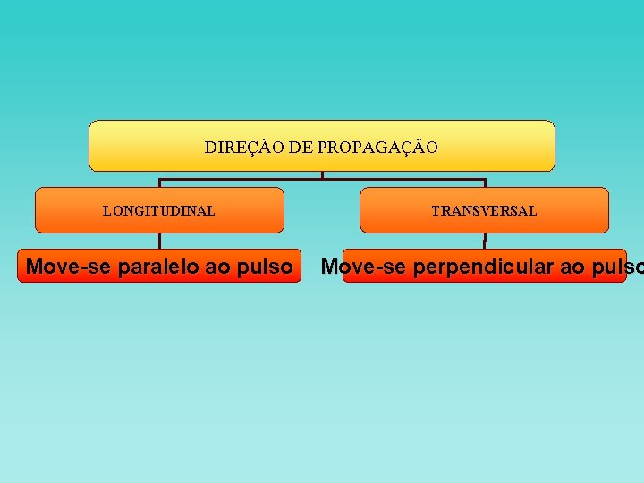 DIREÇÃO DE PROPAGAÇÃO LONGITUDINAL TRANSVERSAL Move-se paralelo ao pulso Move-se perpendicular ao pulso DIREÇÃO DE PROPAGAÇÃO LONGITUDINAL TRANSVERSAL Move-se paralelo ao pulso Move-se perpendicular ao pulso