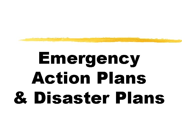 Emergency Action Plans & Disaster Plans 