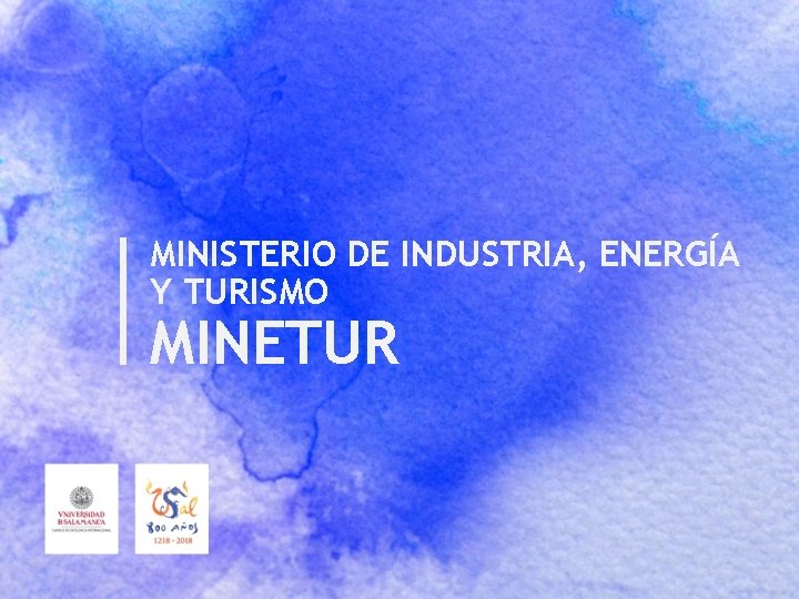 MINISTERIO DE INDUSTRIA, ENERGÍA Y TURISMO MINETUR 