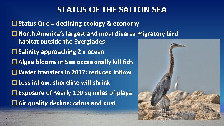 STATUS OF THE SALTON SEA �Status Quo = declining ecology & economy �North America’s
