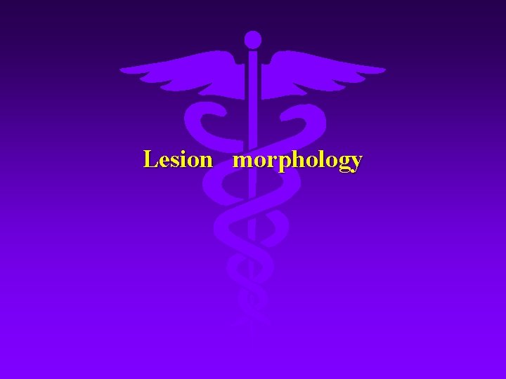 Lesion morphology 